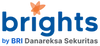 Logo Brights